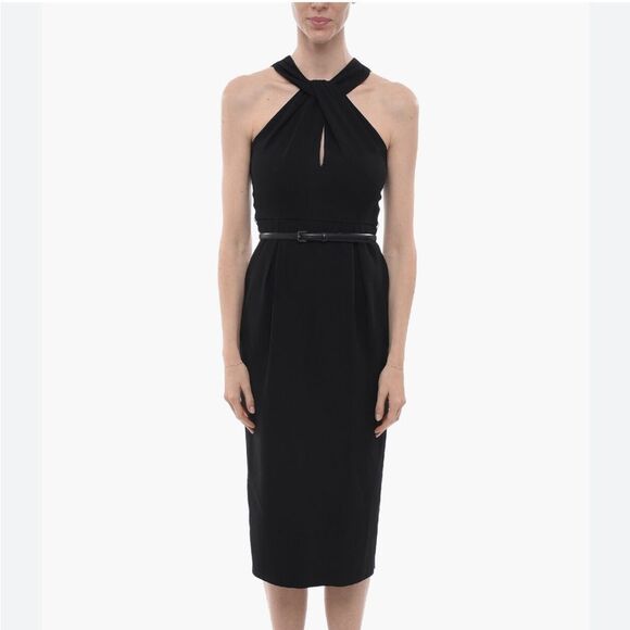 Max Mara Luna Grecian Neck Cady Dress Size 6 NWT $995 - Picture 3 of 11